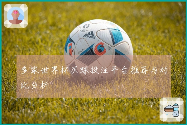 多家世界杯买球投注平台推荐与对比分析