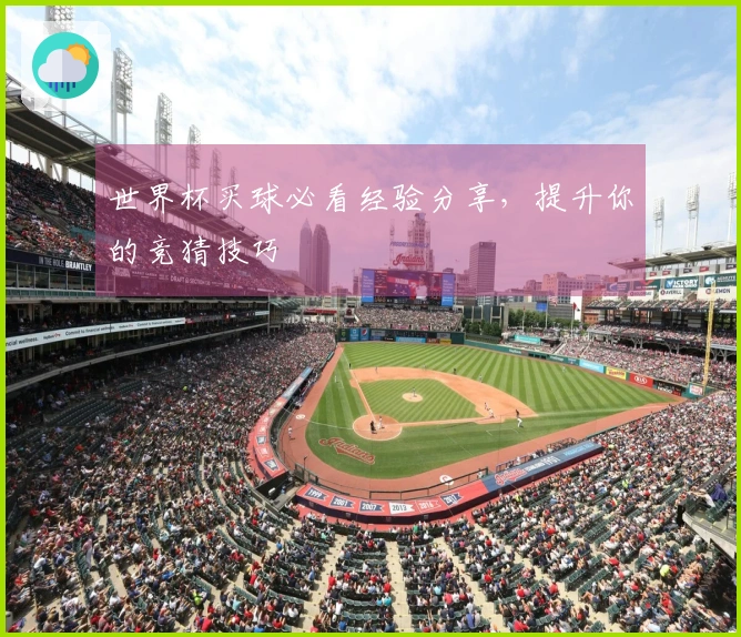 世界杯买球必看经验分享，提升你的竞猜技巧