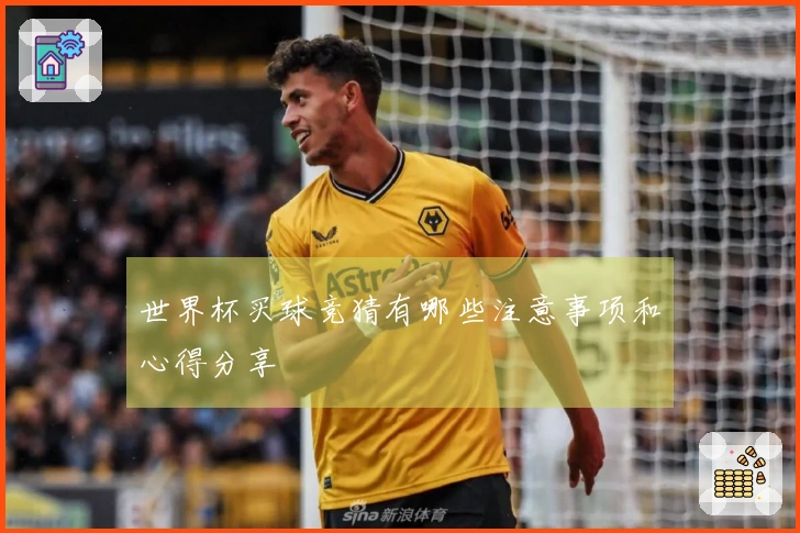 世界杯买球竞猜有哪些注意事项和心得分享