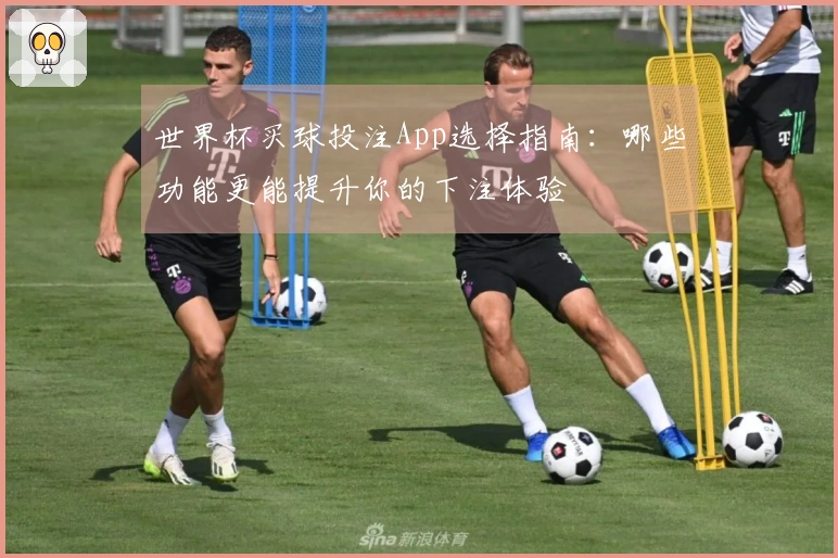 世界杯买球投注App选择指南：哪些功能更能提升你的下注体验