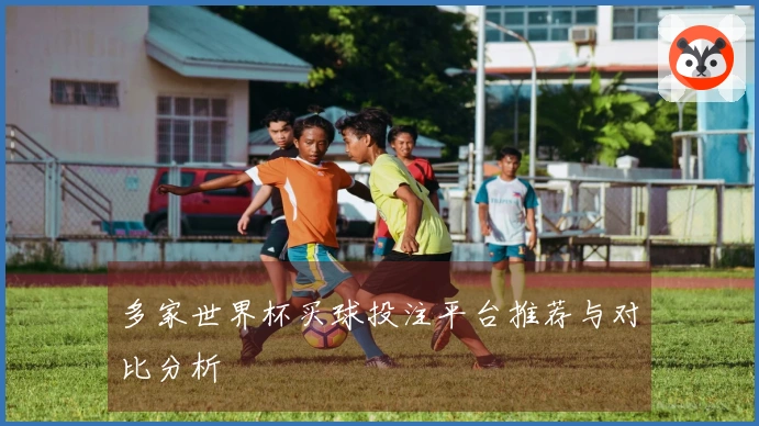 多家世界杯买球投注平台推荐与对比分析
