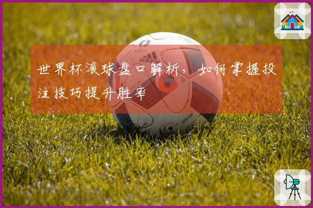世界杯滚球盘口解析，如何掌握投注技巧提升胜率