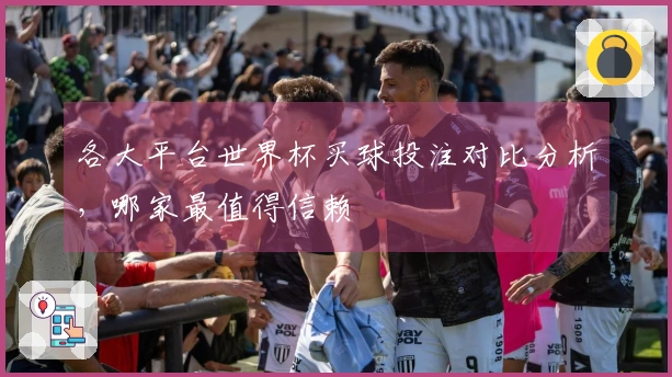 各大平台世界杯买球投注对比分析，哪家最值得信赖