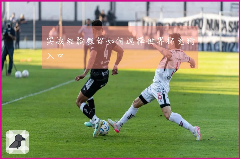 实战经验教你如何选择世界杯竞猜入口