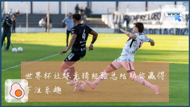 世界杯让球竞猜经验总结助你赢得下注乐趣