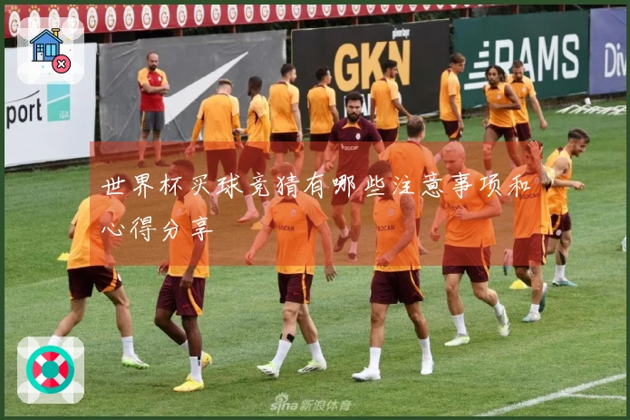 世界杯买球竞猜有哪些注意事项和心得分享