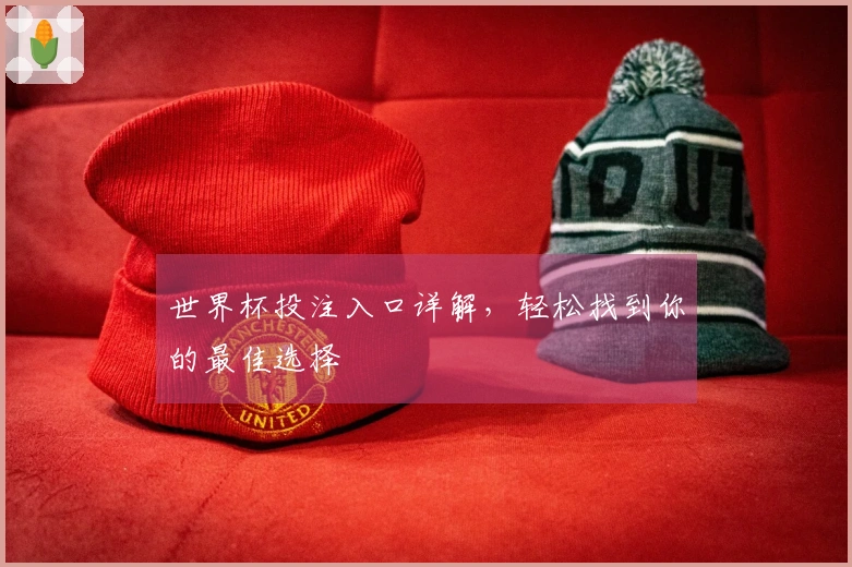 世界杯投注入口详解，轻松找到你的最佳选择