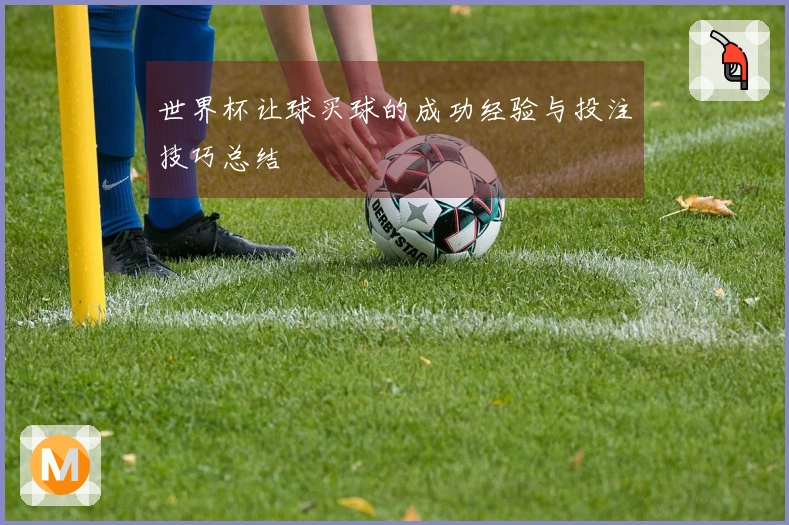 世界杯让球买球的成功经验与投注技巧总结